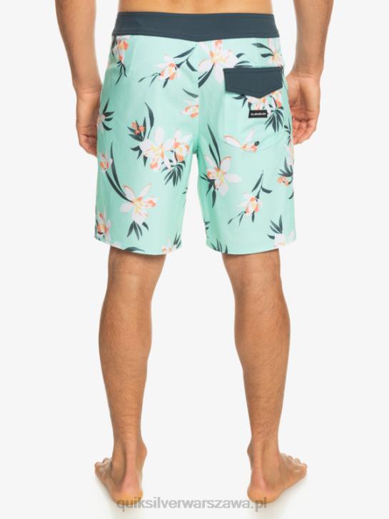 mężczyźni Quiksilver spodenki surfsilk qs 69 18 4DBV244 szkło plażowe