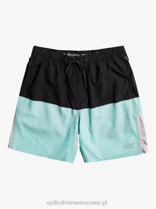 mężczyźni Quiksilver spodenki treningowe omni 17 4DBV794 czarny