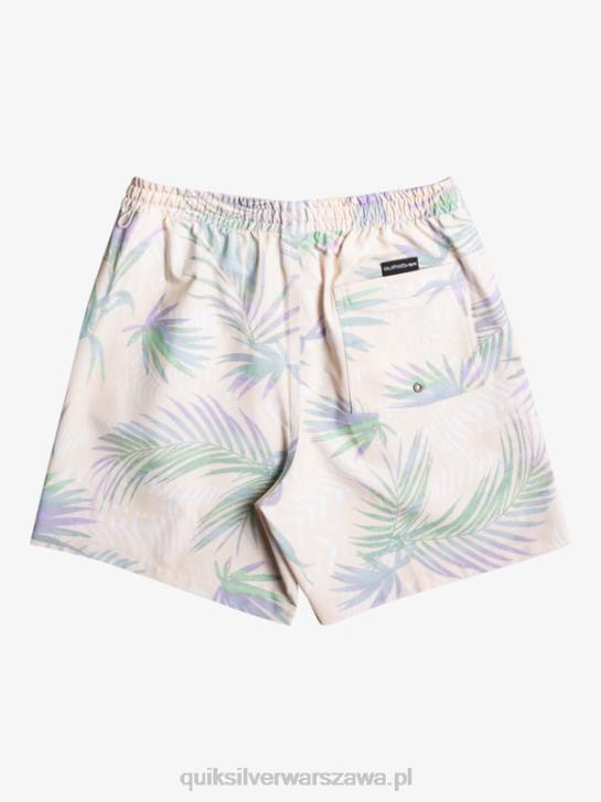 mężczyźni Quiksilver surfsilk mix 17 salw 4DBV635 brzozowy