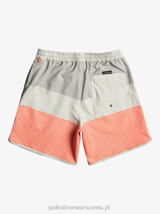 mężczyźni Quiksilver surfsilk tijuana 17 salw 4DBV513 szary fiolet