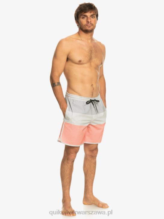 mężczyźni Quiksilver surfsilk tijuana 17 salw 4DBV513 szary fiolet