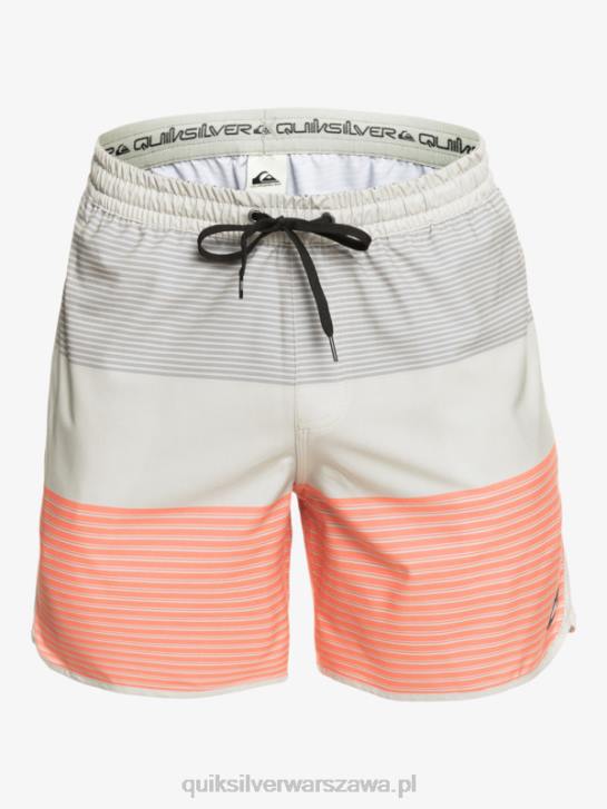 mężczyźni Quiksilver surfsilk tijuana 17 salw 4DBV513 szary fiolet