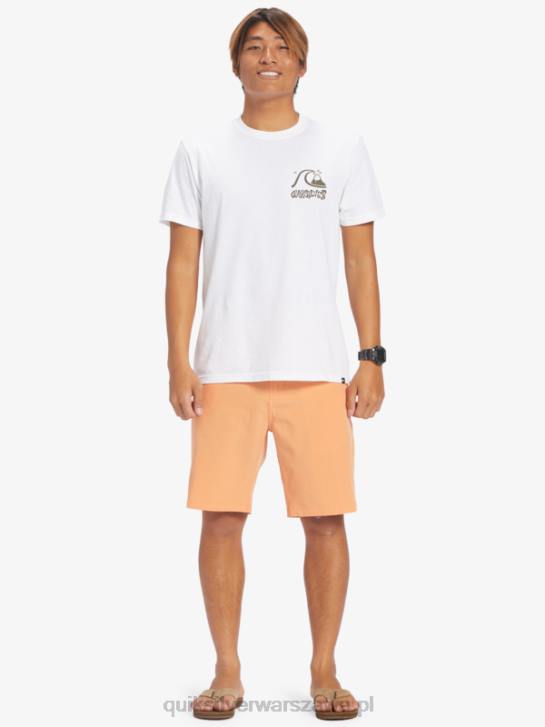 mężczyźni Quiksilver szorty hybrydowe Ocean Union Amphibian 20 4DBV143 miedziana opalenizna