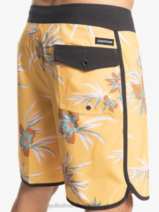 mężczyźni Quiksilver szorty surfsilk scallop 19 4DBV1491 ochra