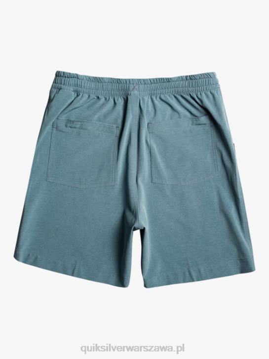 mężczyźni Quiksilver szorty z amfibii Taxer Heather 18 4DBV302 morze Beringa