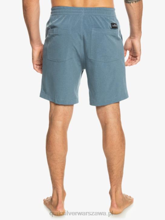mężczyźni Quiksilver szorty z amfibii Taxer Heather 18 4DBV302 morze Beringa