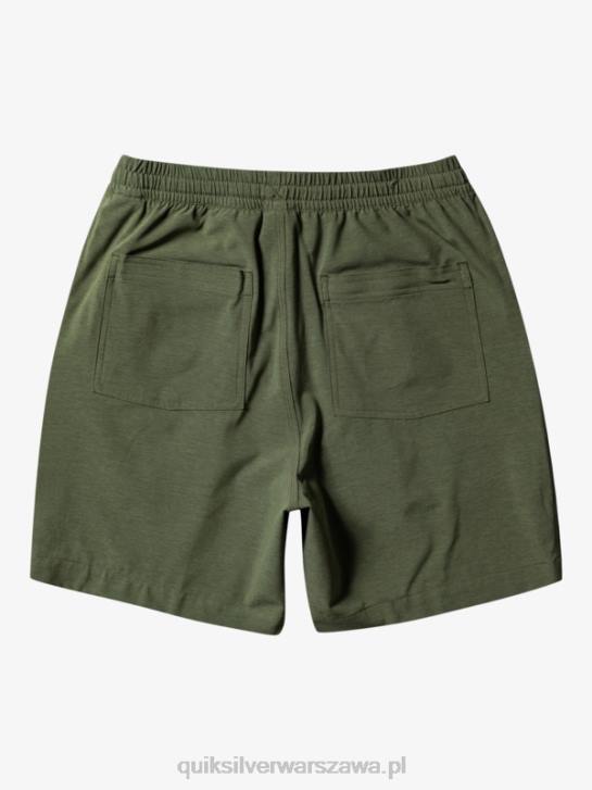mężczyźni Quiksilver szorty z amfibii Taxer Heather 18 4DBV303 czterolistna koniczyna