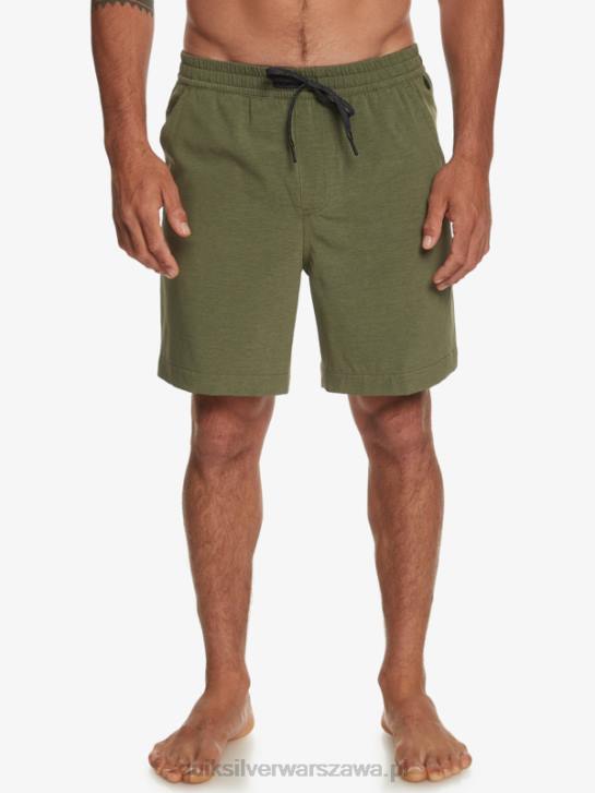 mężczyźni Quiksilver szorty z amfibii Taxer Heather 18 4DBV303 czterolistna koniczyna