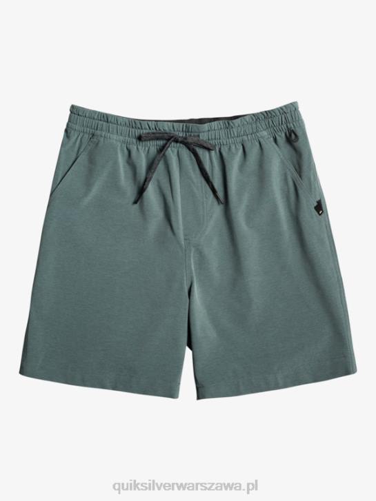 mężczyźni Quiksilver szorty z amfibii Taxer Heather 18 4DBV305 ciemny łupek