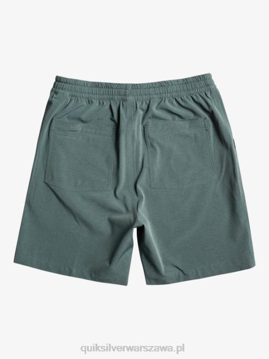 mężczyźni Quiksilver szorty z amfibii Taxer Heather 18 4DBV305 ciemny łupek