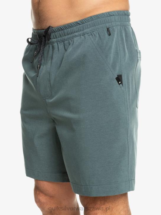 mężczyźni Quiksilver szorty z amfibii Taxer Heather 18 4DBV305 ciemny łupek