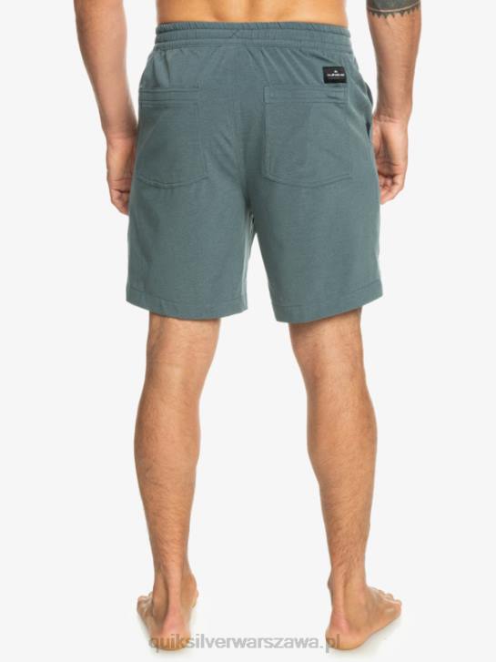 mężczyźni Quiksilver szorty z amfibii Taxer Heather 18 4DBV305 ciemny łupek