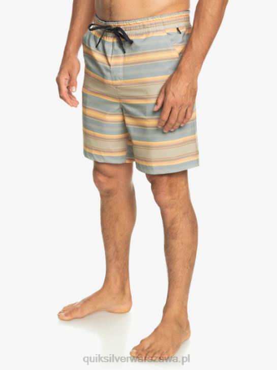 mężczyźni Quiksilver szorty z nadrukiem 18 płazów Taxer 4DBV104 plaza szaro-szary pasek na dni surfingu