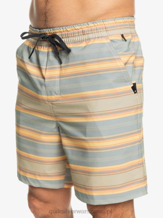 mężczyźni Quiksilver szorty z nadrukiem 18 płazów Taxer 4DBV104 plaza szaro-szary pasek na dni surfingu