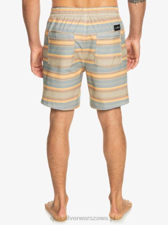 mężczyźni Quiksilver szorty z nadrukiem 18 płazów Taxer 4DBV104 plaza szaro-szary pasek na dni surfingu